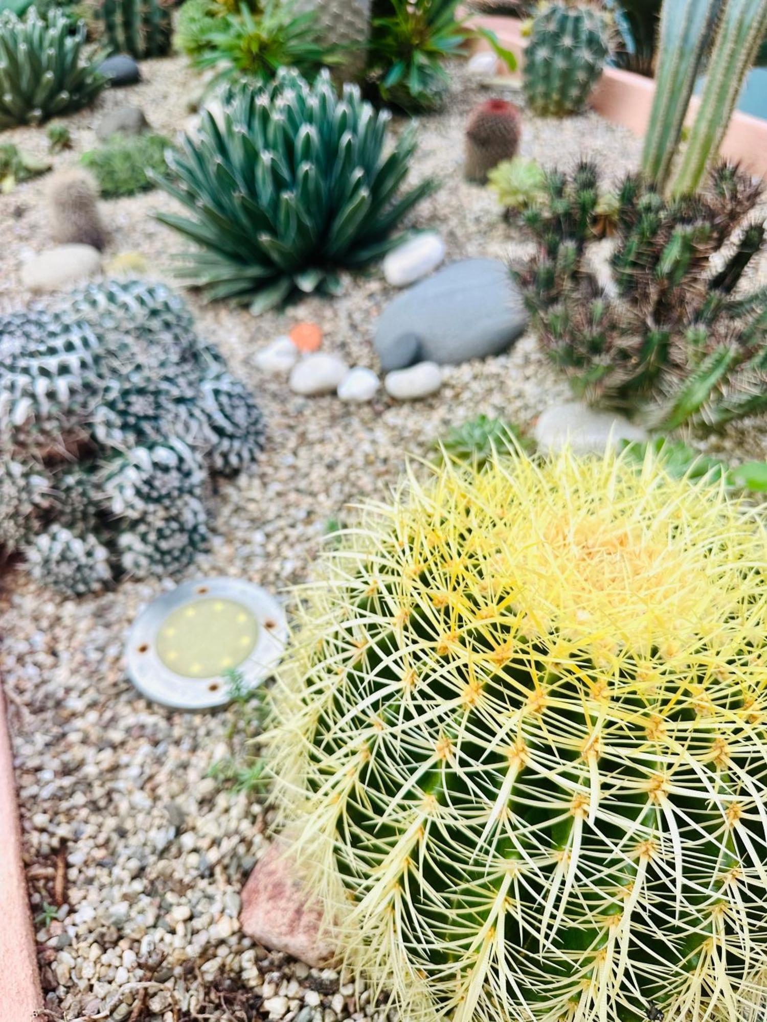 Il Giardino Davanti Al Mare Orosei Extérieur photo